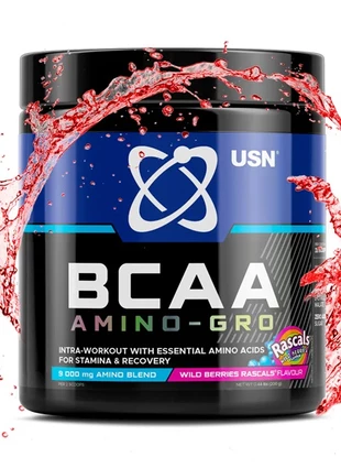 BCAA Amino-Gro (200 гр)